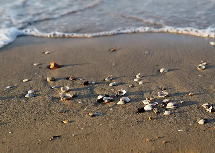 Charming With Terrace By The Sea Apartment